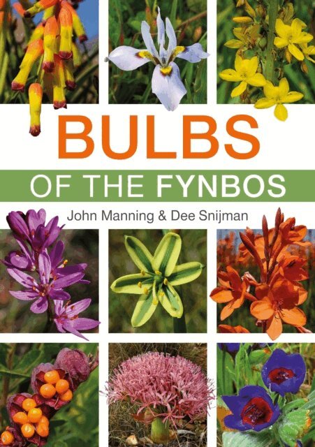 Dee Snijman, John Manning - Bulbs of the Fynbos, E-bok