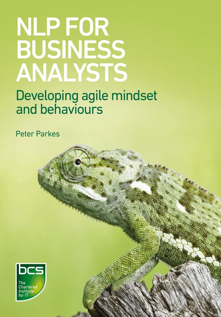 Peter Parkes - NLP for Business Analysts, Häftad