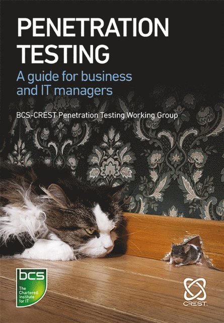 Sharif Gardner, Tylor Robinson, Gemma Moore, Ceri Charlton, Felix Ryan, Roderick Douglas, Peter Taylor, Moinuddin Zaki, Jason Charalambous, Rob Ellis, Jims Marchang, Nick Furneaux, James Hayes - Penetration Testing, E-bok