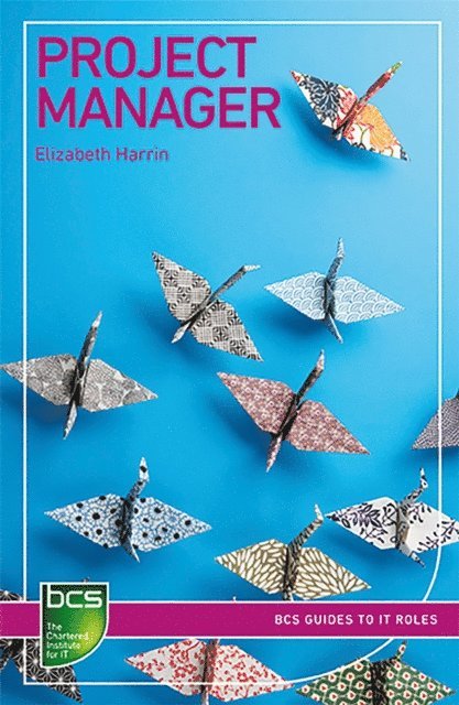 Elizabeth Harrin - Project Manager, E-bok