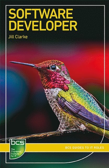 Jill Clarke - Software Developer, E-bok