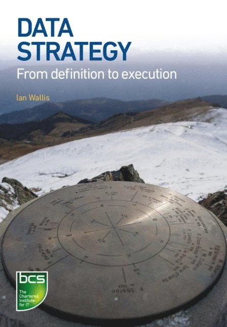 Ian Wallis - Data Strategy, E-bok