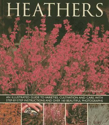 Andrew Mikolajski - Heathers, Häftad