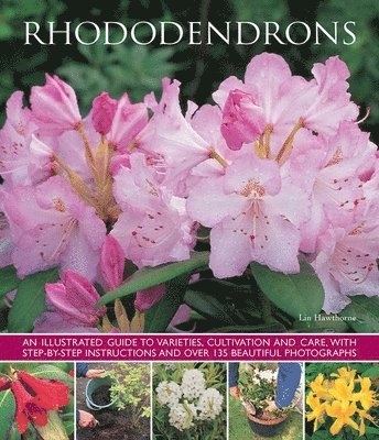 Hawthorne Lin - Rhododendrons, Häftad. Tillgänglighet: Lägg i varukorg