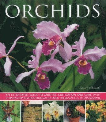 Mikolajski Andrew - Orchids, Häftad. Tillgänglighet: Tillfälligt slut
