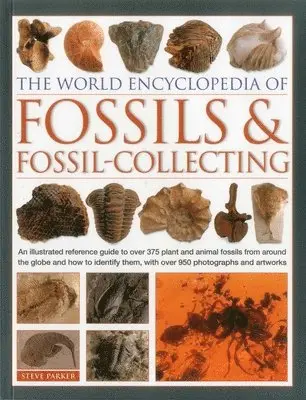 Parker Steve - The World Encyclopedia of Fossils & Fossil-Collecting:, Häftad
