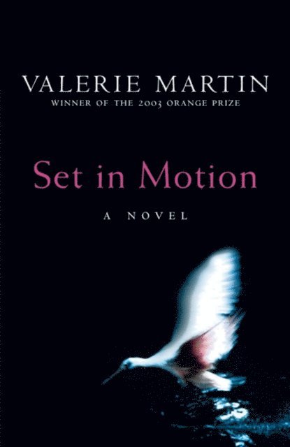 Valerie Martin - Set In Motion, E-bok