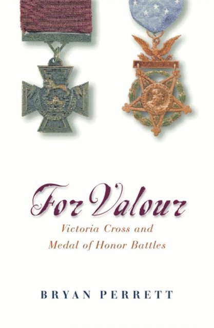 Bryan Perrett - For Valour, E-bok