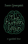 Human Brain