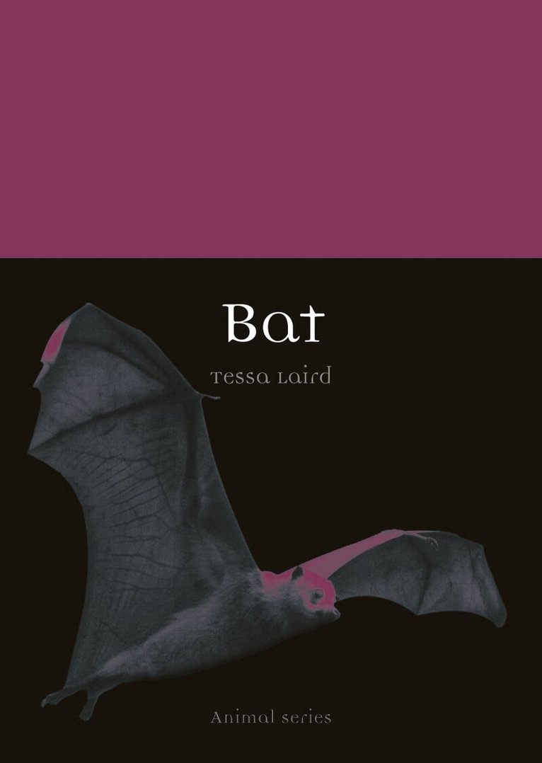 Tessa Laird - Bat, Häftad. Tillgänglighet: Tillfälligt slut