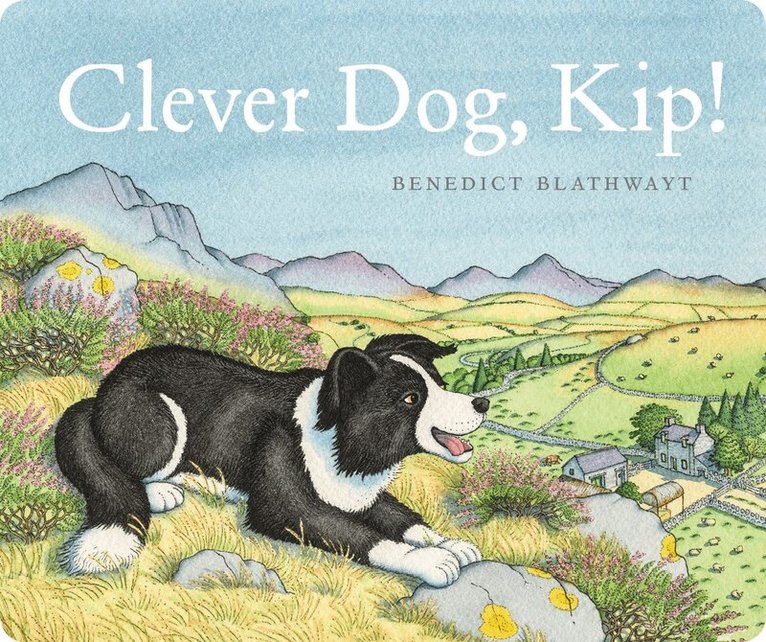 Benedict Blathwayt - Clever Dog, Kip!, Kartonnage