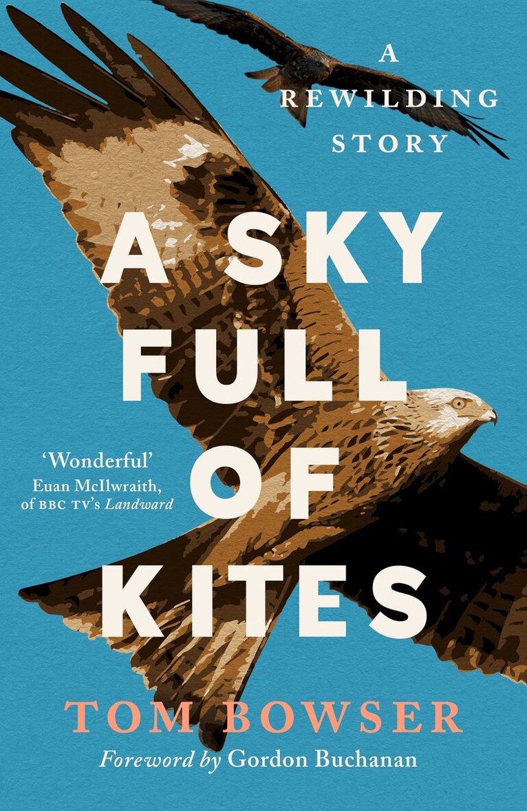 Tom Bowser - Sky Full of Kites, Häftad