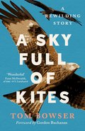 Sky Full of Kites