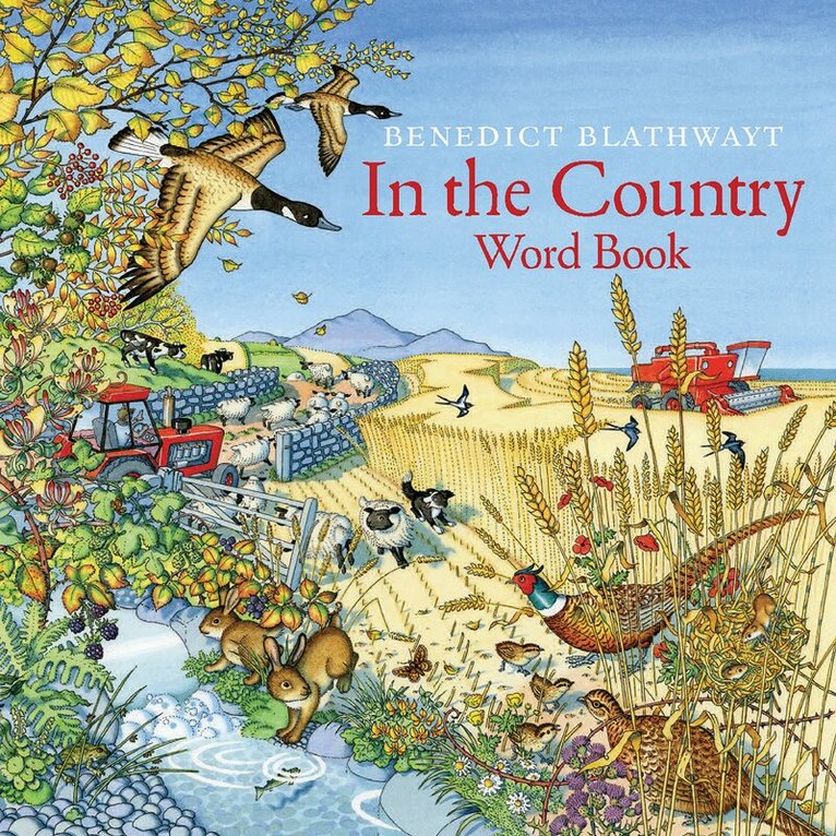 Benedict Blathwayt - In the Country, Häftad