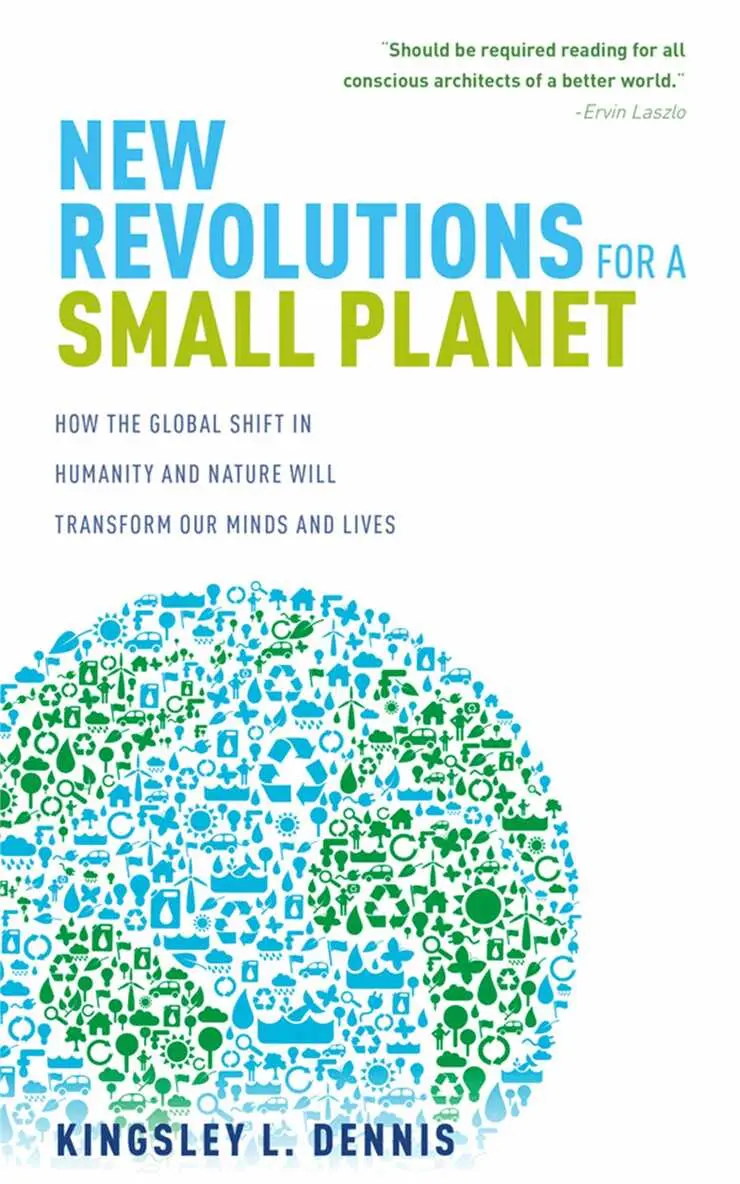 Kingsley Dennis - New Revolutions for a Small Planet, Häftad. Tillgänglighet: Tillfälligt slut