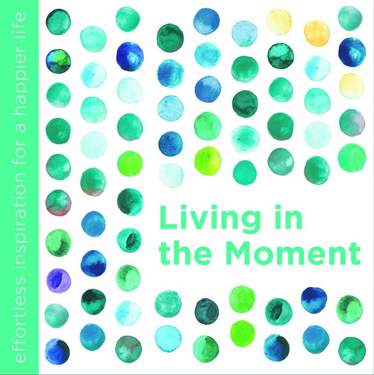 Dani DiPirro - Living in the Moment, Inbunden