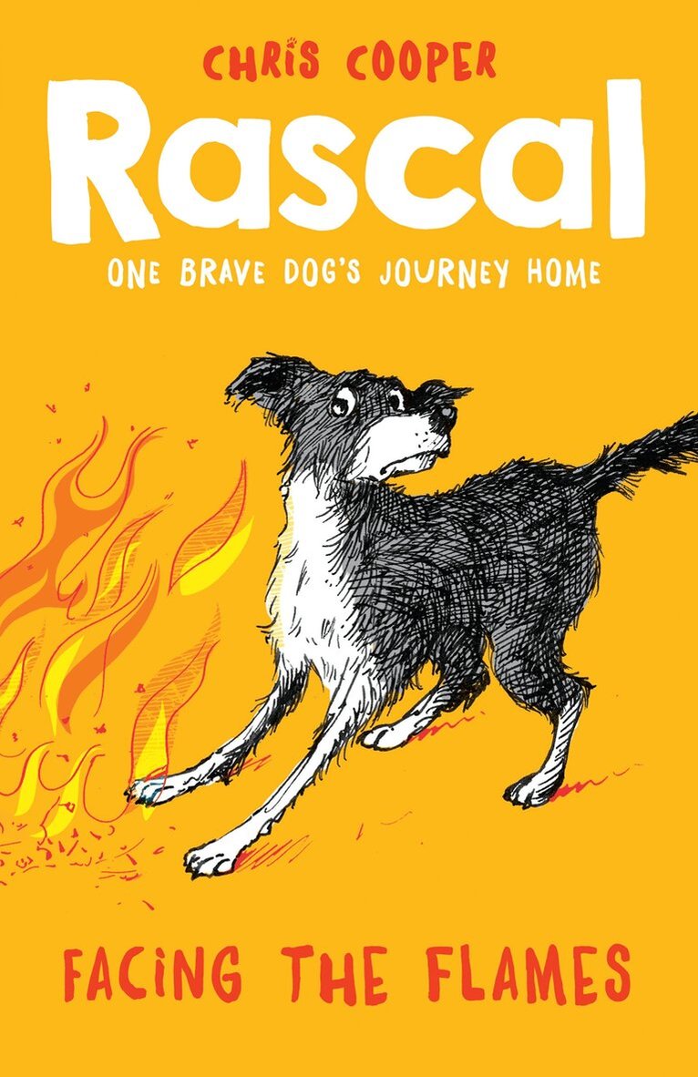 Chris Cooper - Rascal: Facing the Flames, E-bok