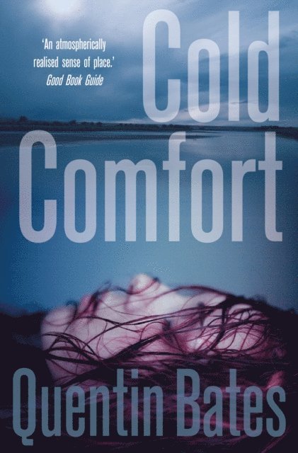 Quentin Bates - Cold Comfort, E-bok