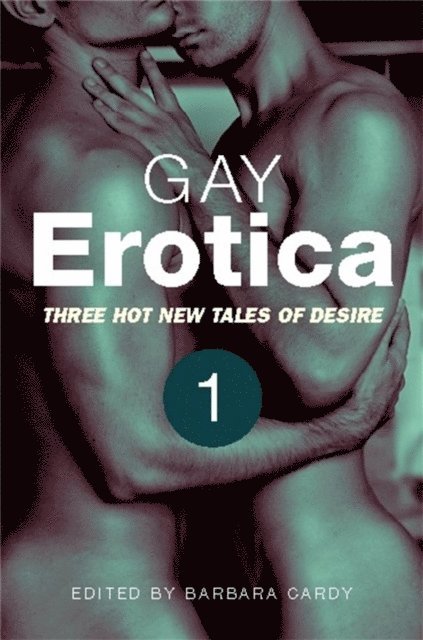 James Hunt - Gay Erotica, Volume 1, E-bok