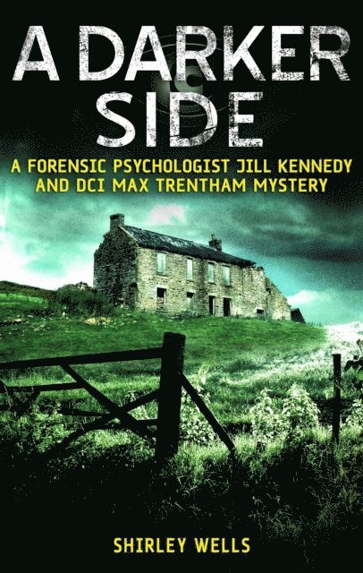 Shirley Wells - Darker Side, E-bok