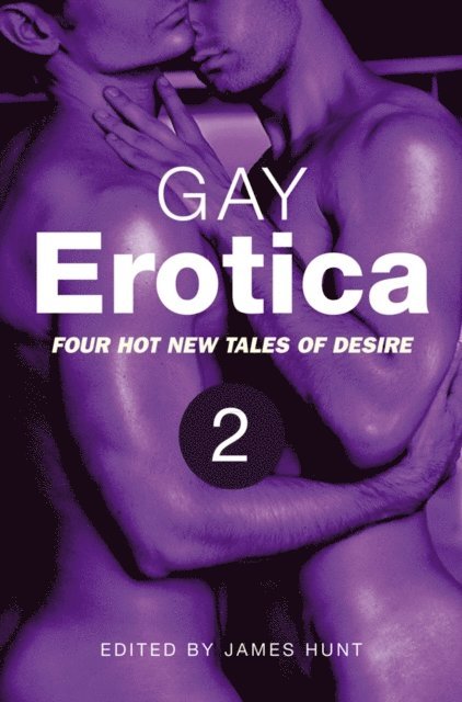 James Hunt - Gay Erotica, Volume 2, E-bok