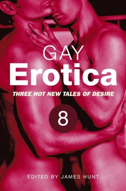 James Hunt - Gay Erotica, Volume 8, E-bok
