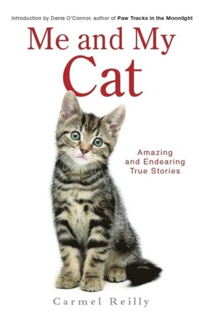 Carmel Reilly - Me and My Cat, E-bok