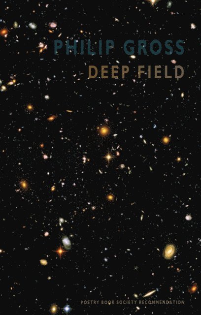 Philip Gross - Deep Field, E-bok