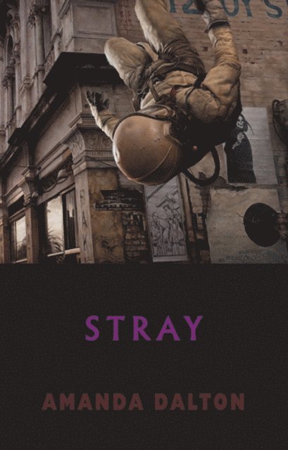 Amanda Dalton - Stray, E-bok