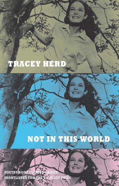 Tracey Herd - Not in This World, E-bok