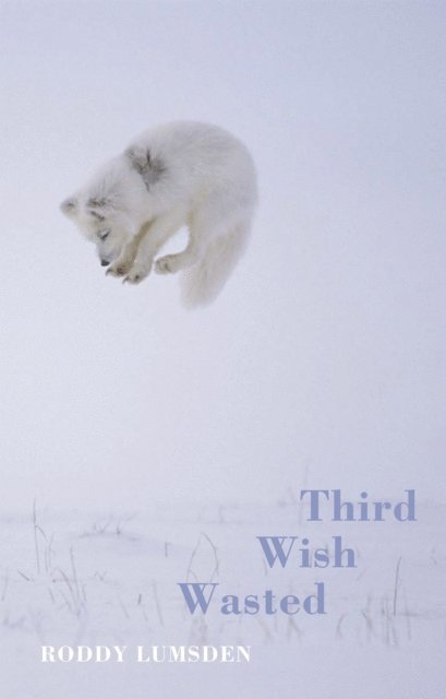 Roddy Lumsden - Third Wish Wasted, E-bok