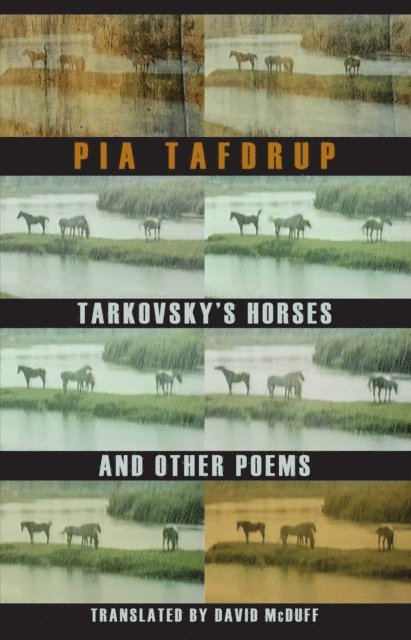 Pia Tafdrup - Tarkovsky's Horses and other poems, E-bok
