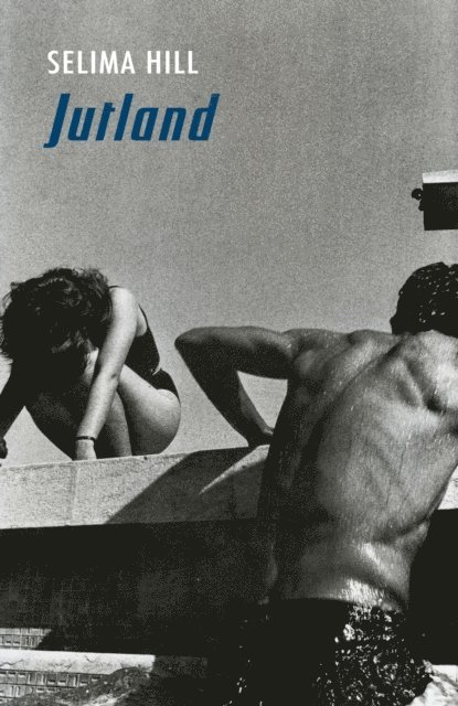 Selima Hill - Jutland, E-bok