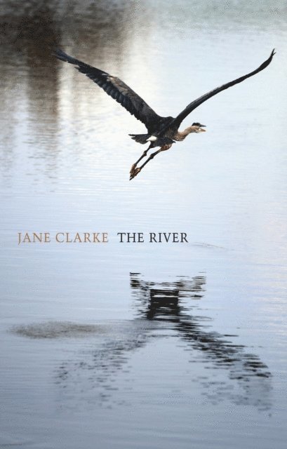 Jane Clarke - River, E-bok