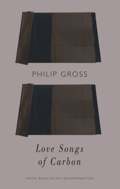 Philip Gross - Love Songs of Carbon, E-bok