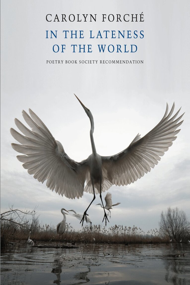 Carolyn Forché - In the Lateness of the World, E-bok