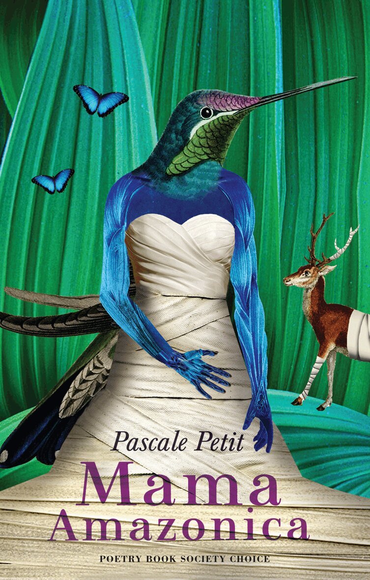 Pascale Petit - Mama Amazonica, Häftad. Tillgänglighet: Lägg i varukorg