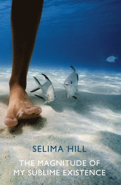Selima Hill - Magnitude of My Sublime Existence, E-bok