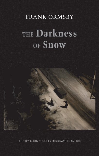 Frank Ormsby - Darkness of Snow, E-bok
