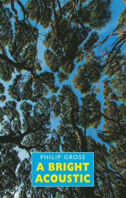 Philip Gross - Bright Acoustic, E-bok