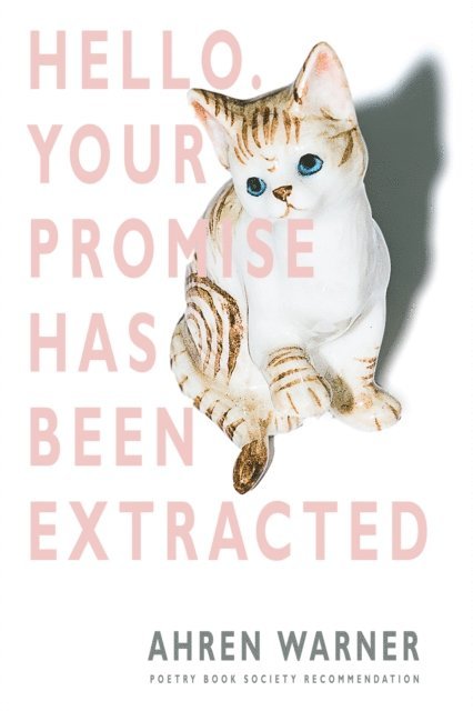 Ahren Warner - Hello. Your promise has been extracted, E-bok