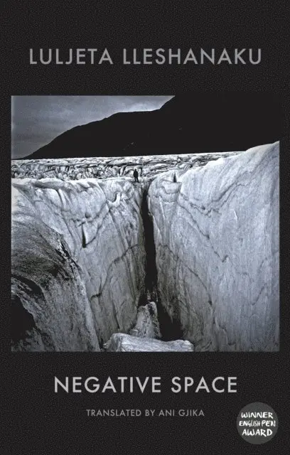 Luljeta Lleshanaku - Negative Space, E-bok. Tillgänglighet: Lägg i varukorg