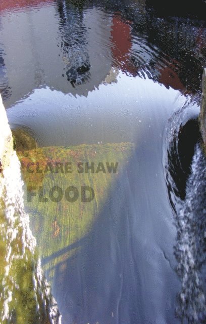 Clare Shaw - Flood, E-bok