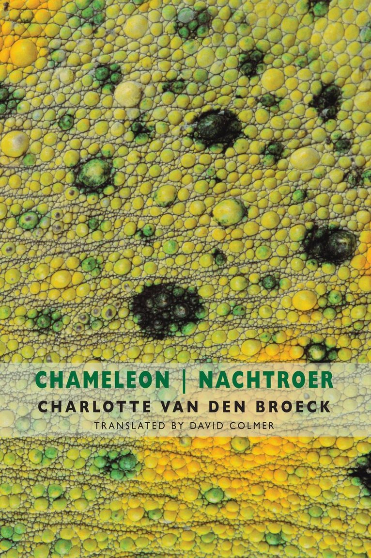 Charlotte Van den Broeck - Chameleon | Nachtroer, Häftad