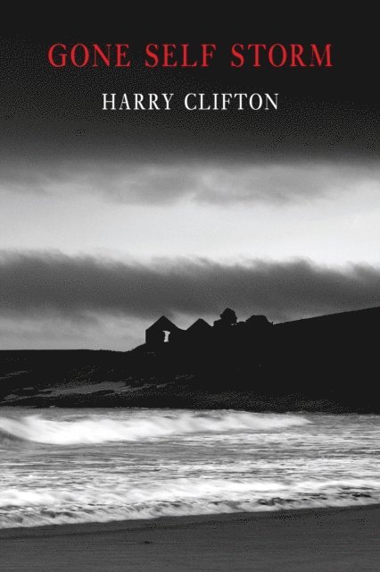 Harry Clifton - Gone Self Storm, E-bok