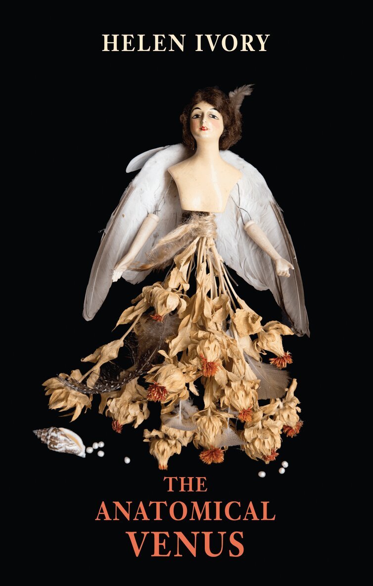 Helen Ivory - Anatomical Venus, Häftad