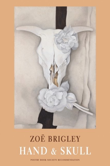 Zoe Brigley - Hand & Skull, E-bok