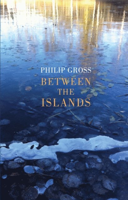 Philip Gross - Between the Islands, E-bok