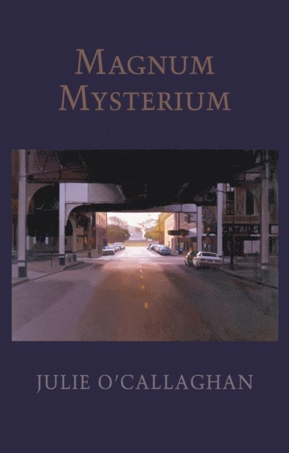 Julie O'Callaghan - Magnum Mysterium, E-bok