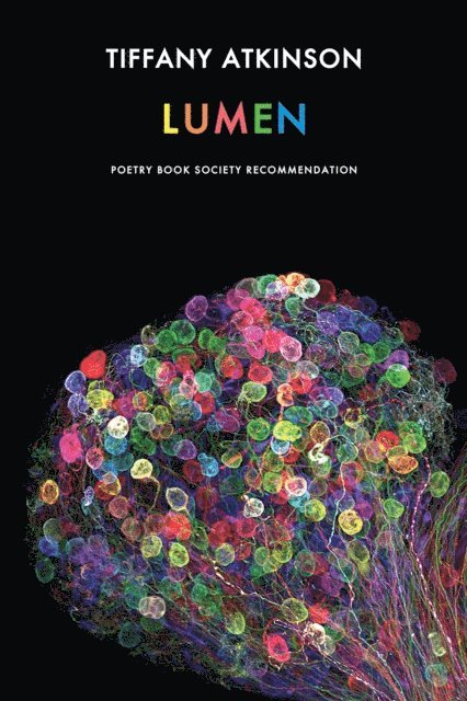 Tiffany Atkinson - Lumen, E-bok